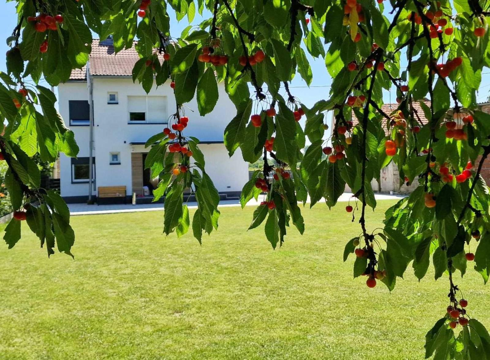 Hyde Park Cakovec